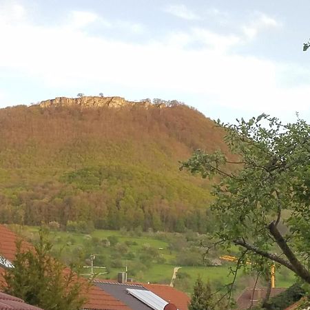 Alte Brennerei Apartment Bissingen an der Teck Bagian luar foto